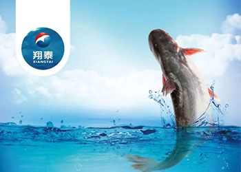 繼金鯧魚、海南鯛之后！翔泰漁業(yè)全力打造第三條精品魚【海南巴沙魚】