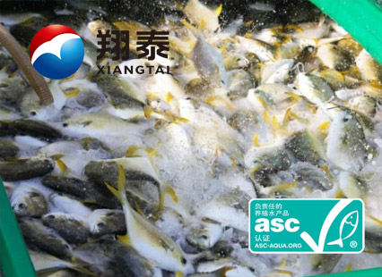 全球首家！海南翔泰漁業(yè)榮獲全球首張ASC金鯧魚網(wǎng)箱養(yǎng)殖認(rèn)證證書