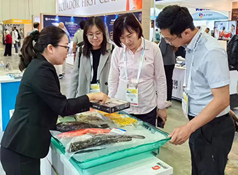 深耕海外市場--海南翔泰漁業(yè)閃耀新加坡、土耳其國際展會，解鎖全球水產(chǎn)合作新機遇